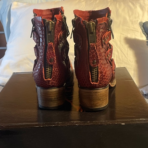 Freebird Gecko in Red - Picture 6 of 11